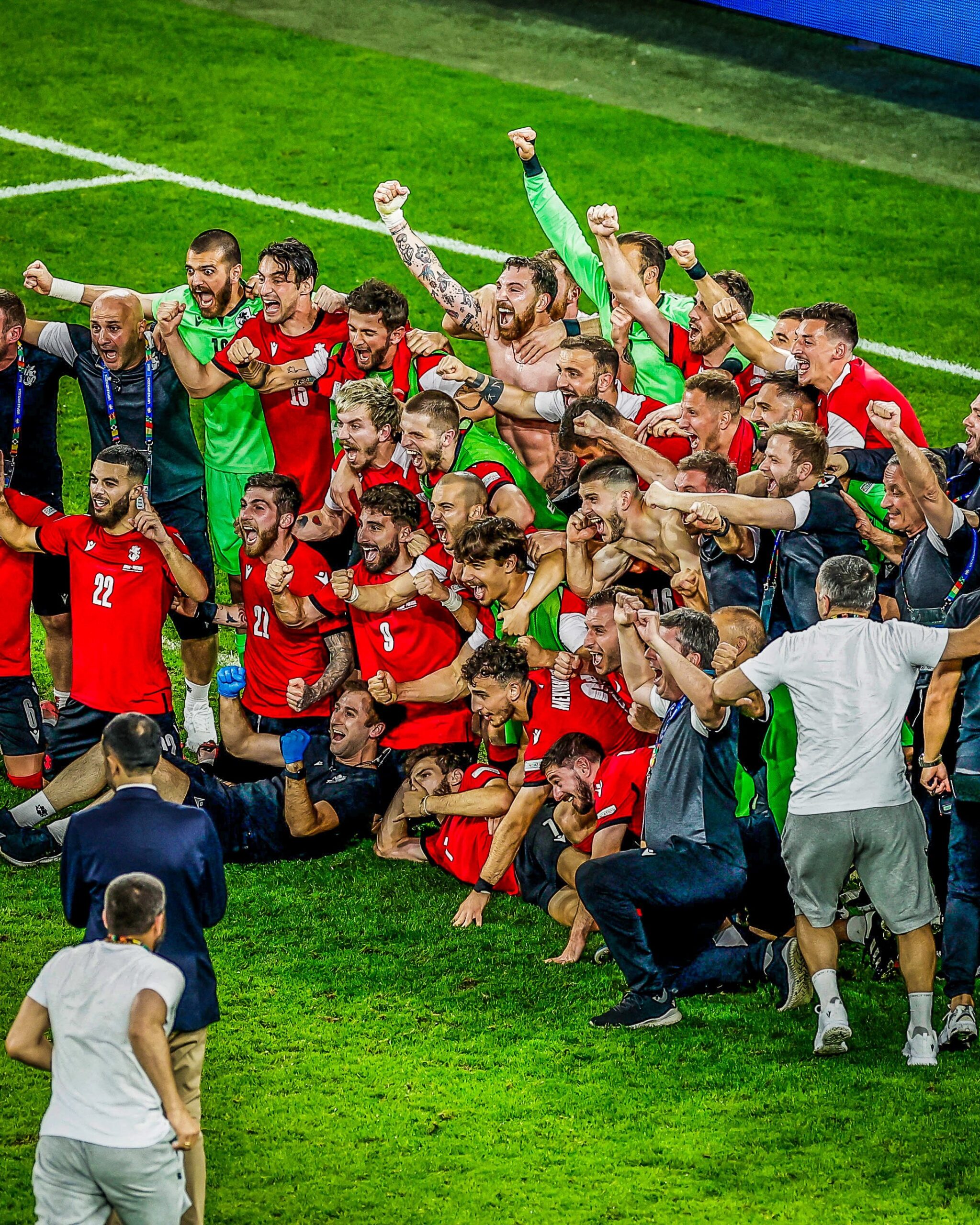 UEFA EURO 2024 : Portugal vs Georgia, Ronald